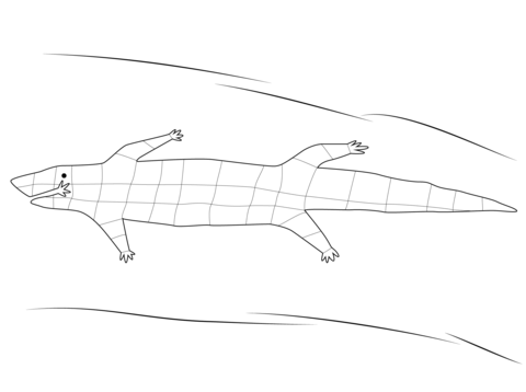 Aboriginal Crocodile Coloring Page